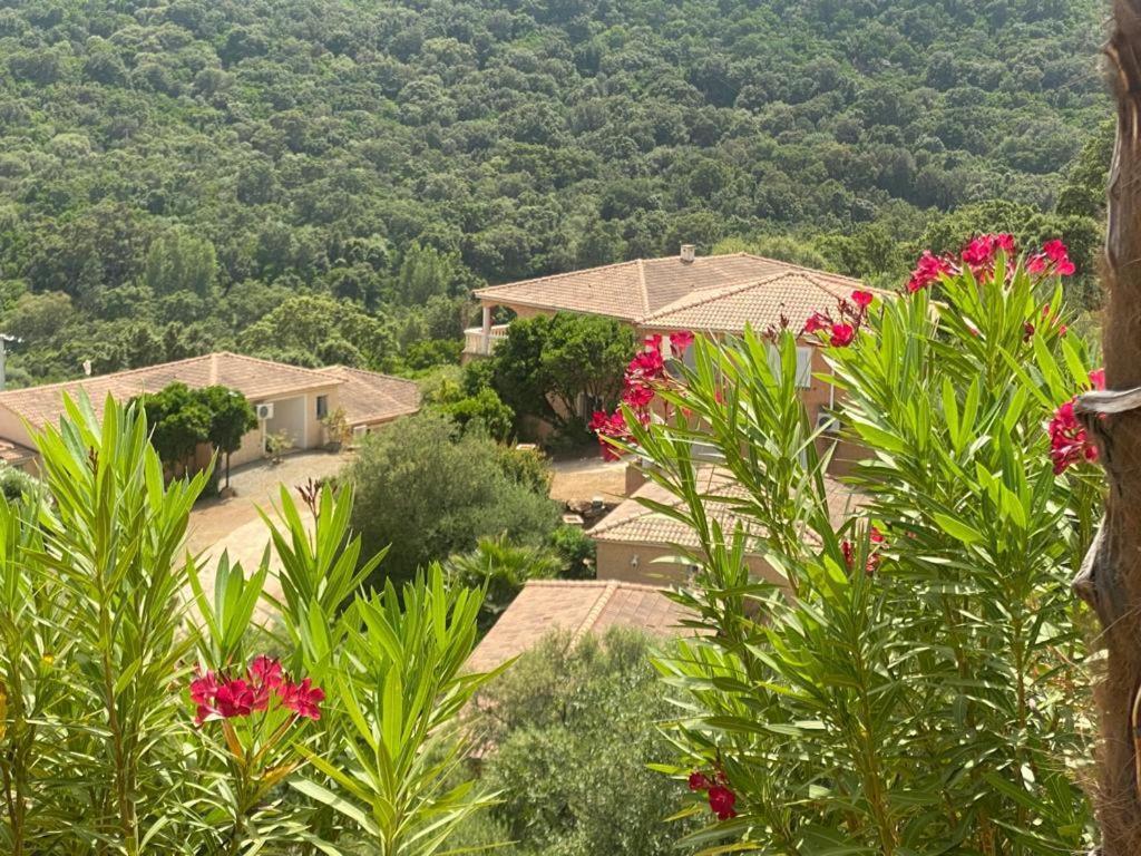 Via Mare Hotel Sainte-Lucie de Porto-Vecchio Eksteriør billede